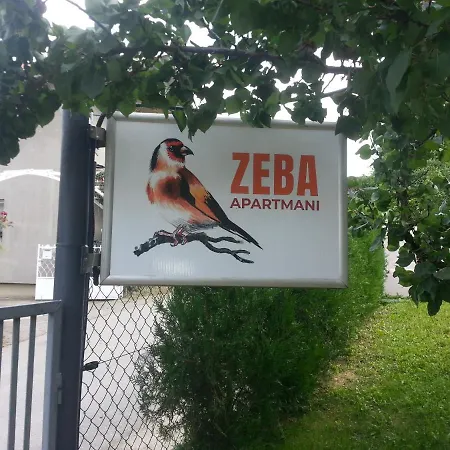 Zeba
